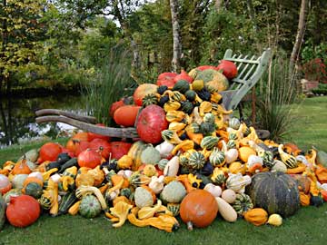 jardin de mon moulin