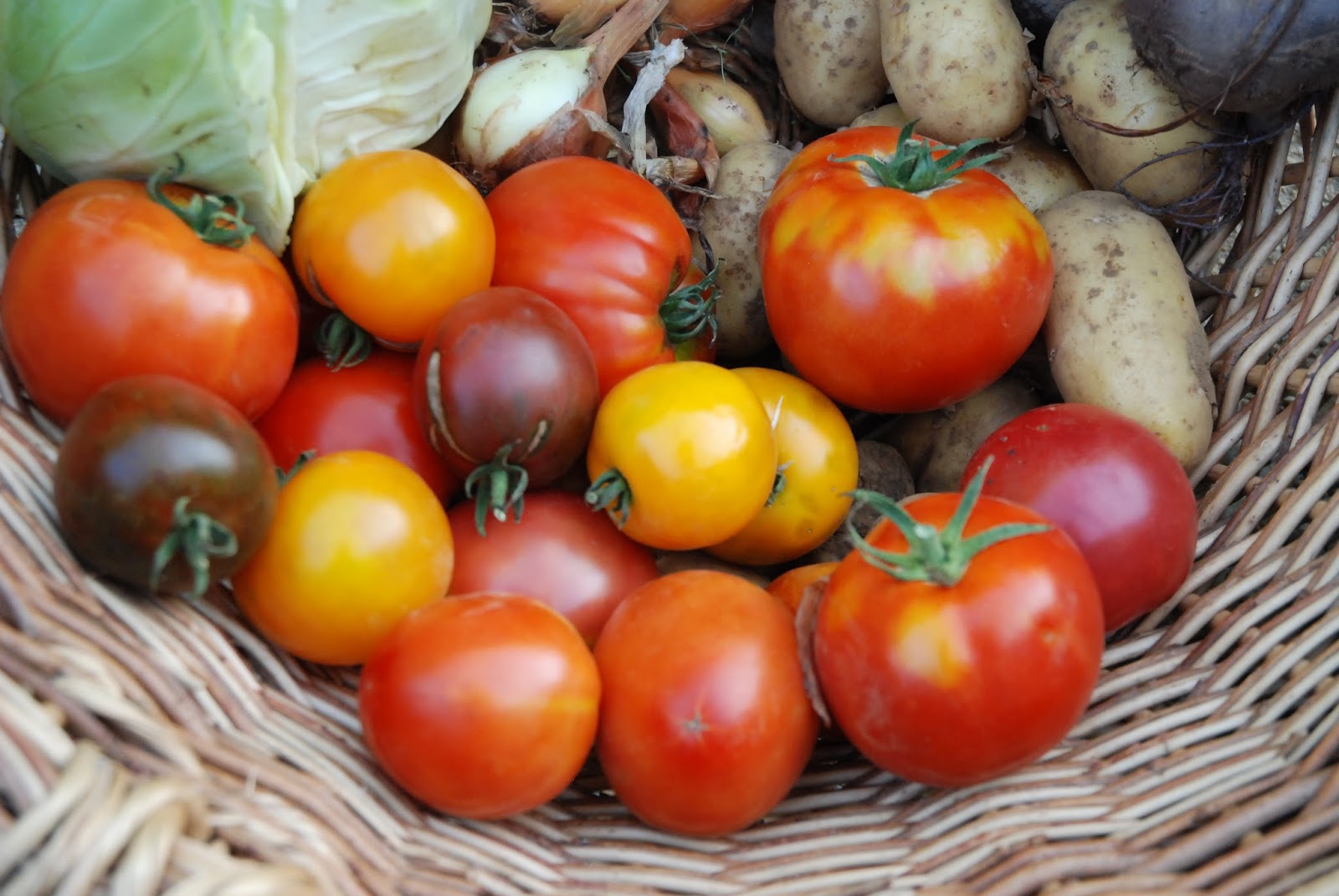 les tomates