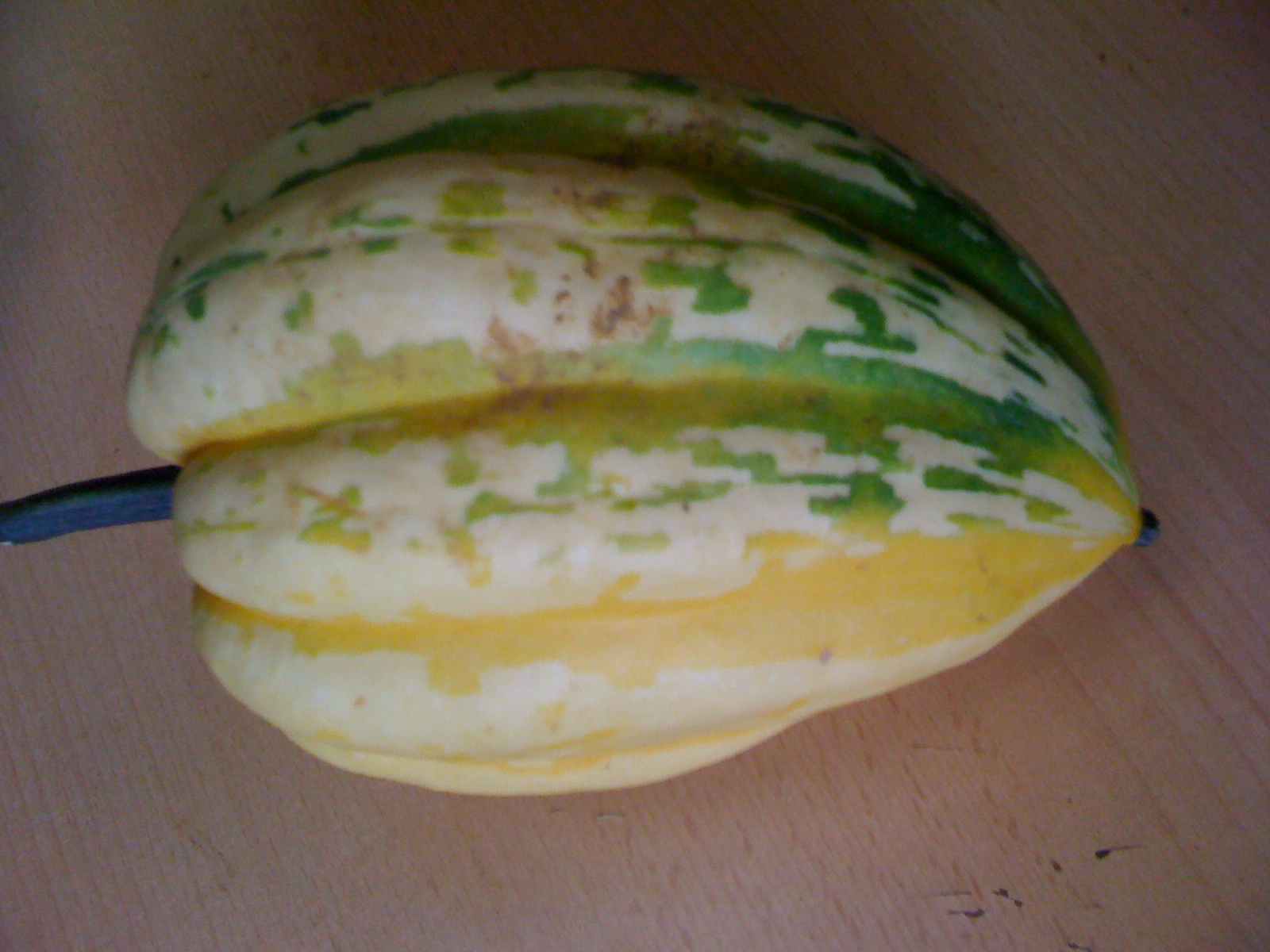 Courge caméléon