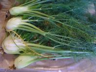 image b135a0576ac8f005203670ea1c41727d942a45b7.jpg