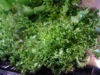 image bb0378ba6aeae5bebc3a2dafcde0be3f253ea656.jpg