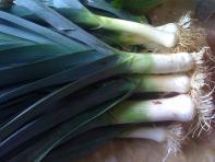 image e8c8df0c2f0ce3a78f63c3990d4b8bf406a66b0f.jpg